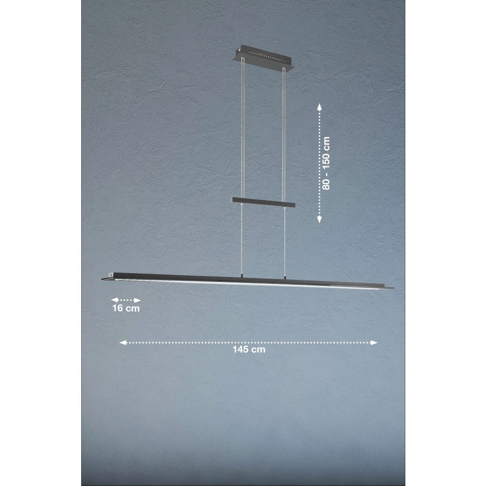 Fischer & Honsel Bill Pendelleuchte LED Schwarz, 1-flammig – Bild 3