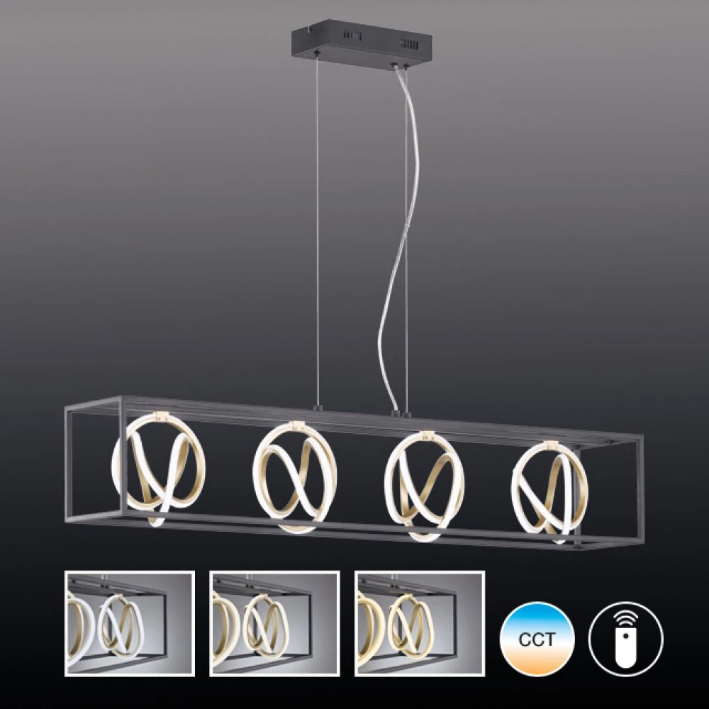 Fischer & Honsel Gisi Pendelleuchte LED Schwarz, 4-flammig, Fernbedienung – Bild 2