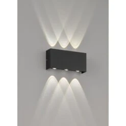 Fischer & Honsel Nairobi AuĂenwandleuchte LED Schwarz, 2-flammig
