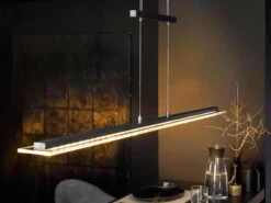 Fischer & Honsel LED Pendelleuchte TENSO Schwarz Höhenverstellbar & Tageslicht, 64cm