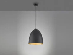 Fischer & Honsel Pendelleuchte MYLON Oval 1 Flammig Schwarz - Lampenschirm Innen Gold